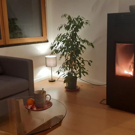 La Ticinella Appartement Losone Buitenkant foto
